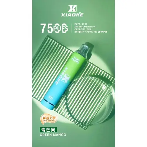 【台灣現貨】XIAOKE 梟客 7500口 拋棄式電子煙 8ml長效續航穩定輸出 650mAh Type-C快充