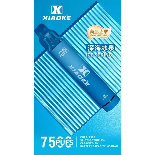 【台灣現貨】XIAOKE 梟客 7500口 拋棄式電子煙 8ml長效續航穩定輸出 650mAh Type-C快充