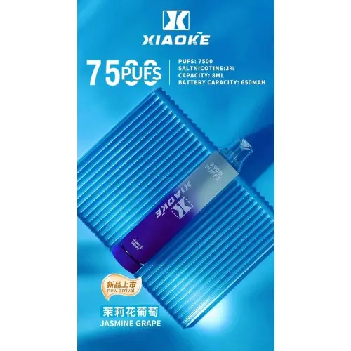 【台灣現貨】XIAOKE 梟客 7500口 拋棄式電子煙 8ml長效續航穩定輸出 650mAh Type-C快充