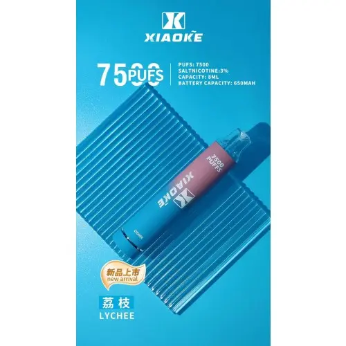 【台灣現貨】XIAOKE 梟客 7500口 拋棄式電子煙 8ml長效續航穩定輸出 650mAh Type-C快充