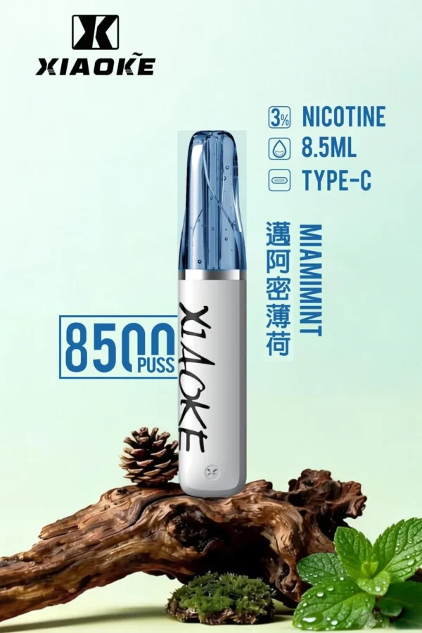 【台灣現貨秒發】XIAOKE 梟客 8500口拋棄式電子煙 8.5ml儲油 支援Type-C充電