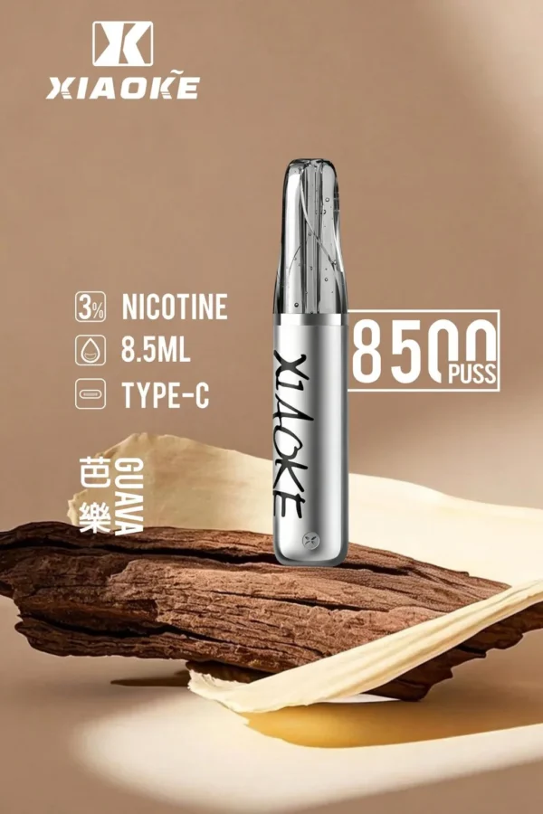 【台灣現貨秒發】XIAOKE 梟客 8500口拋棄式電子煙 8.5ml儲油 支援Type-C充電