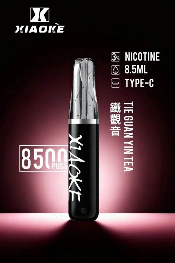 【台灣現貨秒發】XIAOKE 梟客 8500口拋棄式電子煙 8.5ml儲油 支援Type-C充電
