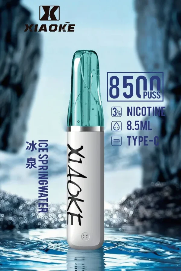 【台灣現貨秒發】XIAOKE 梟客 8500口拋棄式電子煙 8.5ml儲油 支援Type-C充電