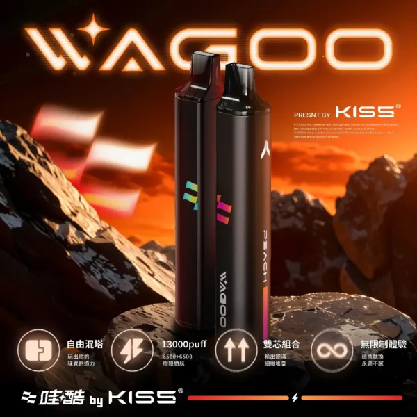 【台灣現貨】WAGOO 哇酷 KIS5 6500口 拋棄式電子煙 升級不漏油結構 順滑擊喉 雙芯混搭多風味