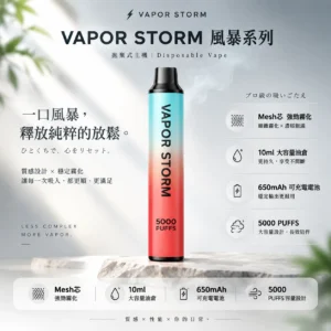 【台灣現貨秒發】VAPOR STORM 風暴 5000口 拋棄式電子煙 650mAh可充電續航 10ml大容量