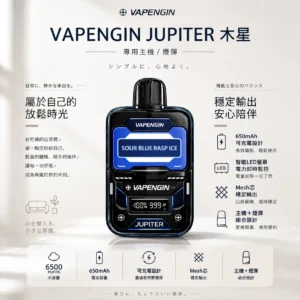 【台灣現貨】VAPENGIN JUPITER 木星 6500口 拋棄式電子煙 650mAh可充電長效續航 含主機+煙彈