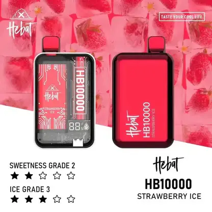 【全台現貨速發】Hebat 喜貝 10000口拋棄式電子煙 LED螢幕顯示 15ml油量 支援Type-C快充