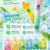 I.G夏威夷鼻通產品規格-鼻吸薄荷棒-6-scaled-1.webp 【台灣現貨秒發】I.G 夏威夷 鼻通 涼感提神鼻吸薄荷棒 1000口隨身必備