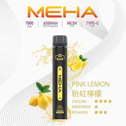 【台灣現貨】MEHA XBAR 魅嗨 小黑條 7000口 抛棄式電子煙 650mAh大電量可充電 极強冰感體驗