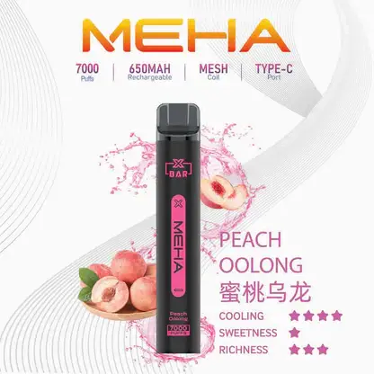 【台灣現貨】MEHA XBAR 魅嗨 小黑條 7000口 抛棄式電子煙 650mAh大電量可充電 极強冰感體驗
