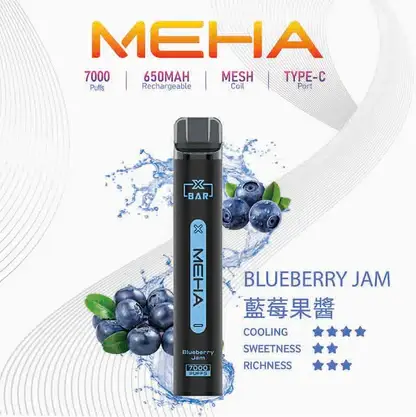 【台灣現貨】MEHA XBAR 魅嗨 小黑條 7000口 抛棄式電子煙 650mAh大電量可充電 极強冰感體驗