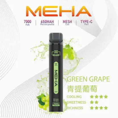 【台灣現貨】MEHA XBAR 魅嗨 小黑條 7000口 抛棄式電子煙 650mAh大電量可充電 极強冰感體驗