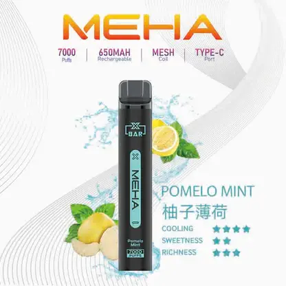 【台灣現貨】MEHA XBAR 魅嗨 小黑條 7000口 抛棄式電子煙 650mAh大電量可充電 极強冰感體驗