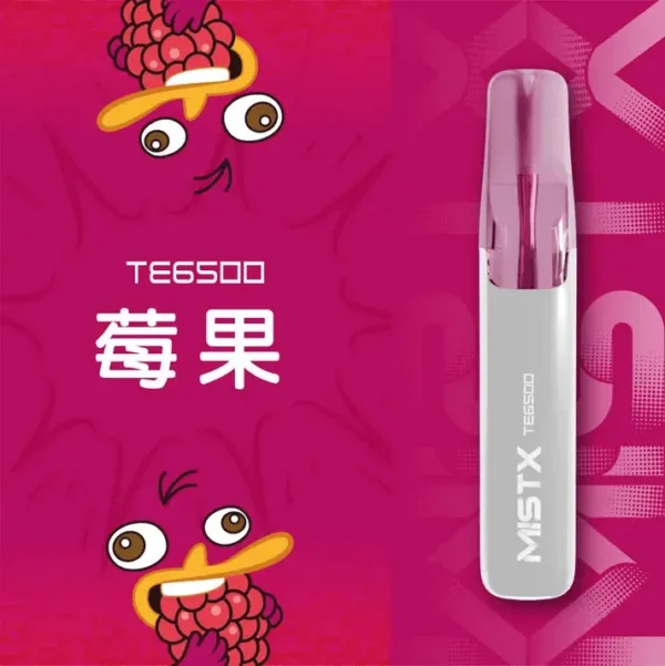【台灣現貨秒發】Mist X 鴨嘴獸 6500口 拋棄式電子煙 550mAh大電量可充電 2%尼古丁鹽冰爽水果