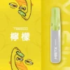 【台灣現貨秒發】Mist X 鴨嘴獸 6500口 拋棄式電子煙 550mAh大電量可充電 2%尼古丁鹽冰爽水果