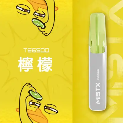 【台灣現貨秒發】Mist X 鴨嘴獸 6500口 拋棄式電子煙 550mAh大電量可充電 2%尼古丁鹽冰爽水果