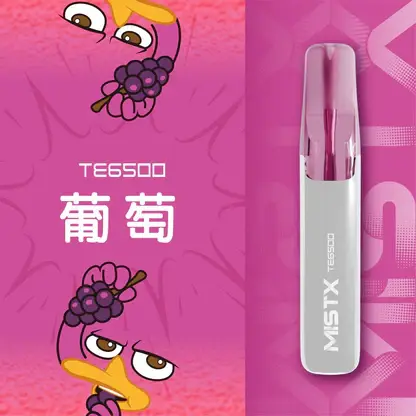 【台灣現貨秒發】Mist X 鴨嘴獸 6500口 拋棄式電子煙 550mAh大電量可充電 2%尼古丁鹽冰爽水果