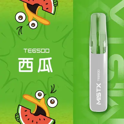 【台灣現貨秒發】Mist X 鴨嘴獸 6500口 拋棄式電子煙 550mAh大電量可充電 2%尼古丁鹽冰爽水果