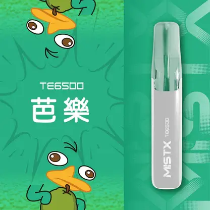 【台灣現貨秒發】Mist X 鴨嘴獸 6500口 拋棄式電子煙 550mAh大電量可充電 2%尼古丁鹽冰爽水果