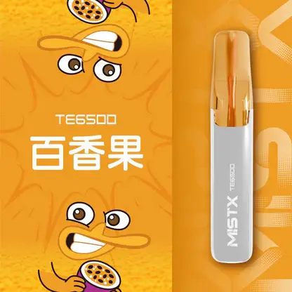 【台灣現貨秒發】Mist X 鴨嘴獸 6500口 拋棄式電子煙 550mAh大電量可充電 2%尼古丁鹽冰爽水果