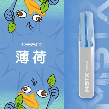 【台灣現貨秒發】Mist X 鴨嘴獸 6500口 拋棄式電子煙 550mAh大電量可充電 2%尼古丁鹽冰爽水果