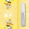 【台灣現貨秒發】Mist X 鴨嘴獸 6500口 拋棄式電子煙 550mAh大電量可充電 2%尼古丁鹽冰爽水果
