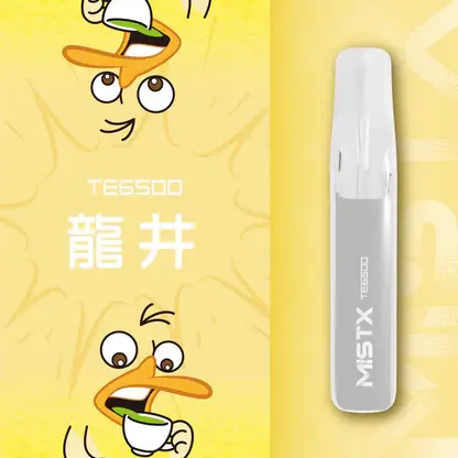【台灣現貨秒發】Mist X 鴨嘴獸 6500口 拋棄式電子煙 550mAh大電量可充電 2%尼古丁鹽冰爽水果
