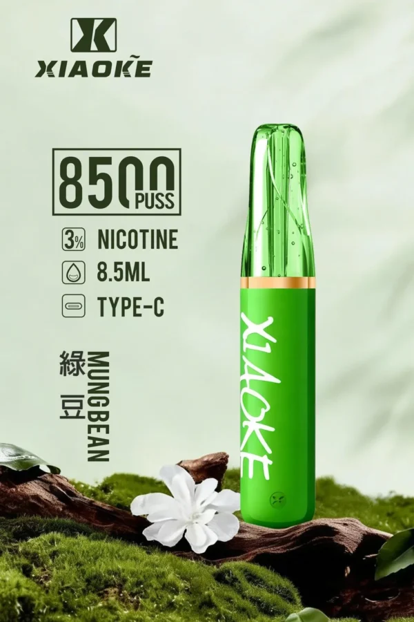 【台灣現貨秒發】XIAOKE 梟客 8500口拋棄式電子煙 8.5ml儲油 支援Type-C充電