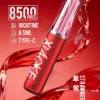 【台灣現貨秒發】XIAOKE 梟客 8500口拋棄式電子煙 8.5ml儲油 支援Type-C充電