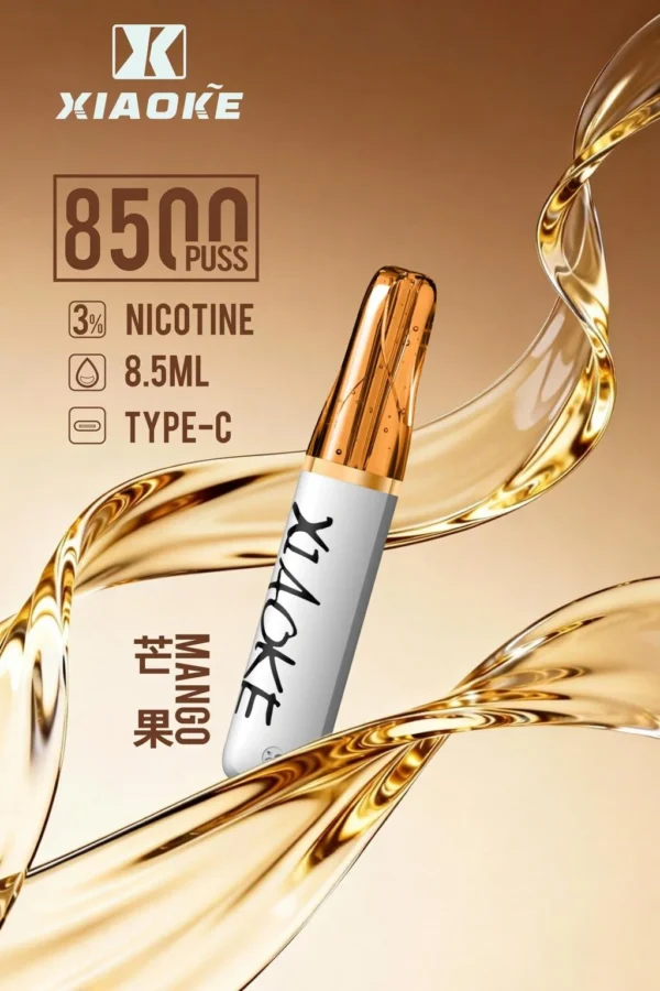 【台灣現貨秒發】XIAOKE 梟客 8500口拋棄式電子煙 8.5ml儲油 支援Type-C充電