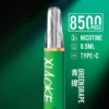 【台灣現貨秒發】XIAOKE 梟客 8500口拋棄式電子煙 8.5ml儲油 支援Type-C充電