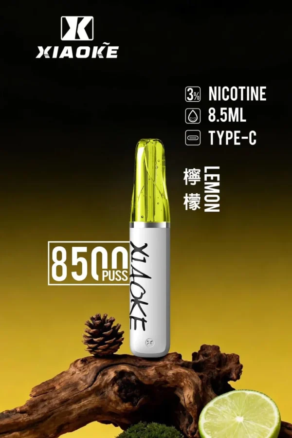【台灣現貨秒發】XIAOKE 梟客 8500口拋棄式電子煙 8.5ml儲油 支援Type-C充電