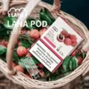image-289.webp 【台灣現貨秒發】LANA 一代通用煙彈 2.5ml三顆裝大容量 吸氣即亮炫彩特效 完美通用一代主機